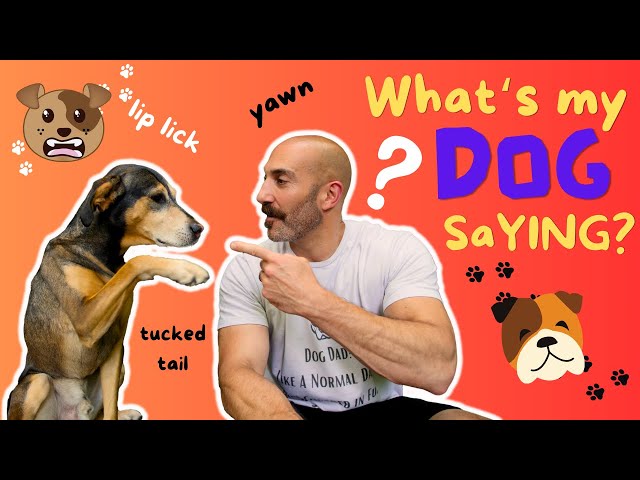 DOG 🐕 Body Language You NEED to Know | Canine Communication DECODED