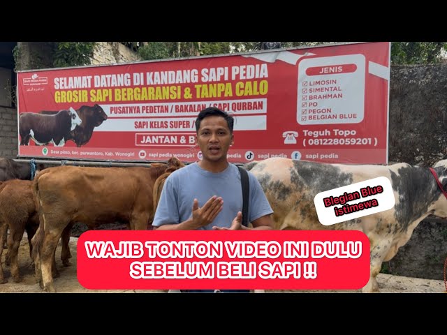 THIS MONTH'S COW PRICE UPDATE‼️WATCH THE VIDEO UNTIL THE END‼️