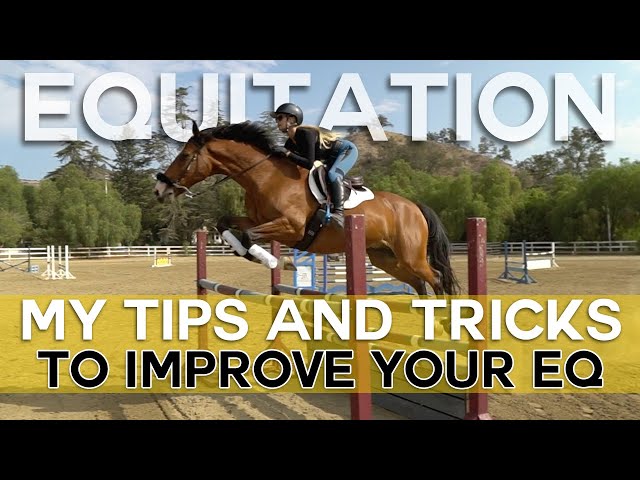 Exercises for Improving Equitation | ZL Equestrian Tips & Lessons