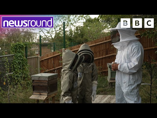 Zero waste week: How this school is becoming eco-friendly and reducing waste | Newsround