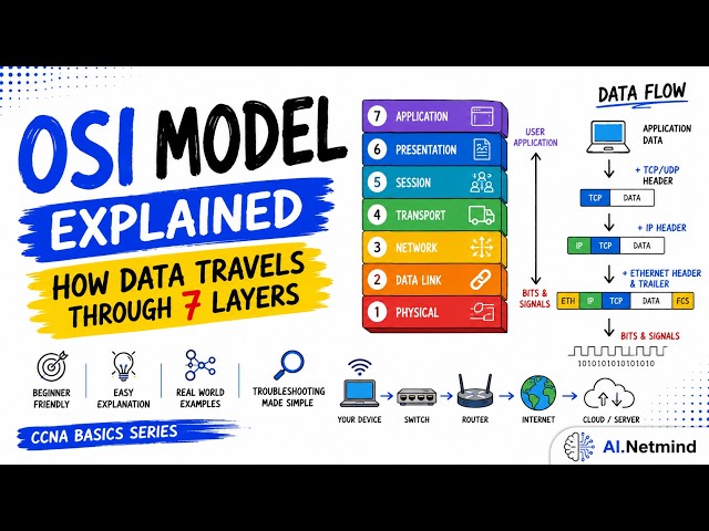 NETWORKING BASICS | LAN | WAN