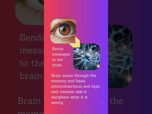 Day 10:  Computer Vision #ai