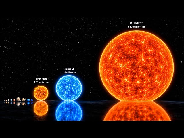 The Ultimate 3D Universe Size Comparison 2026 (New) : From Quark To Multiverse