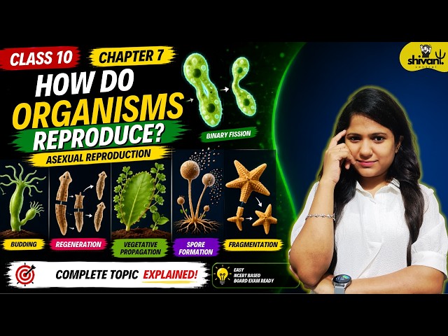 Asexual Reproduction Made Easy | How Do Organisms Reproduce? Class 10 Science