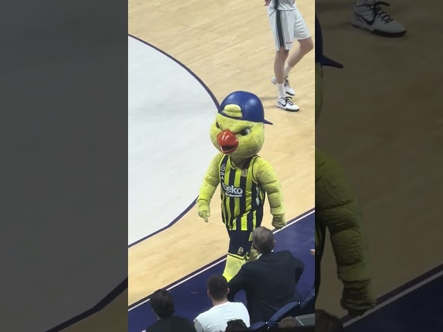 SON DAKİKA TRİBÜN ÇEKİMİ - FENERBAHÇE EFES'İ YARI FİNALDE YENDİ