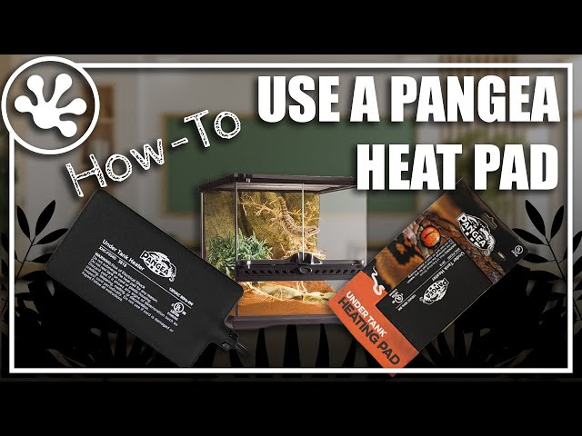 How To Apply a Pangea Reptile UTH Heat Pad