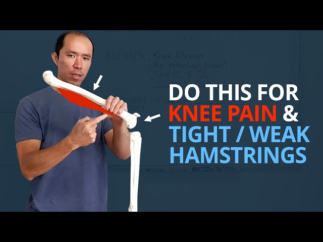 Is Your Knee Pain Coming from Weak or Tight Hamstrings? (5 Exercises)