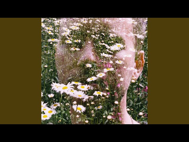 whiteflower