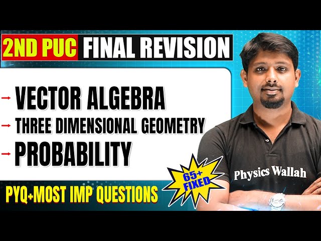Vector Algebra & Other Chapters | Maths | 2nd PUC | Most Imp Questions & PYQ's 🔥🔥
