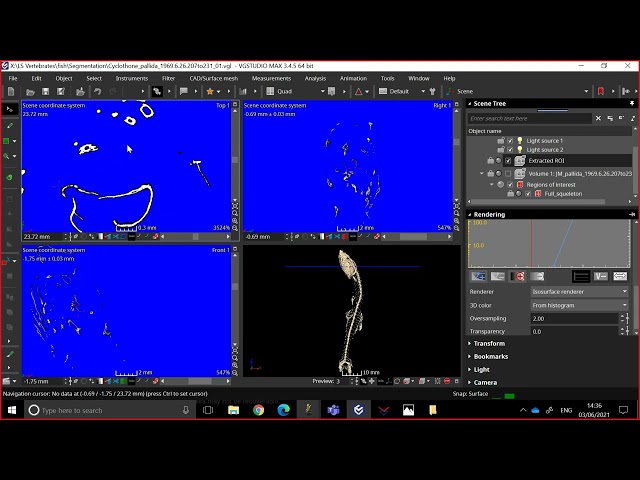 Tutorial   03   Exporting With Vgstudiomax part 1