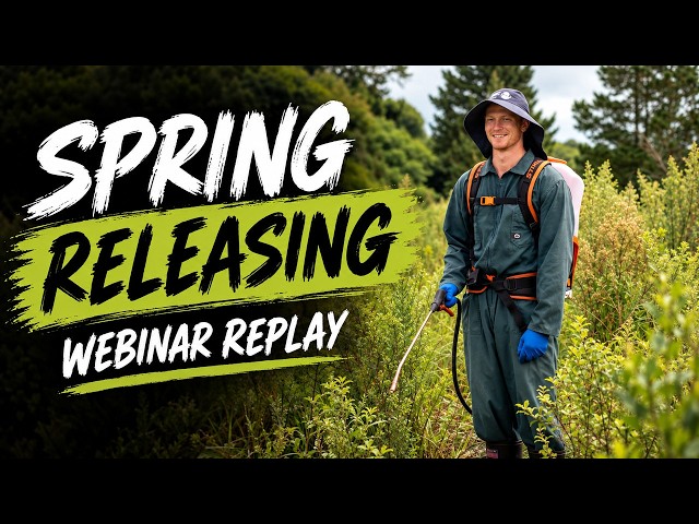 Art of Spring Release 2026 Replay