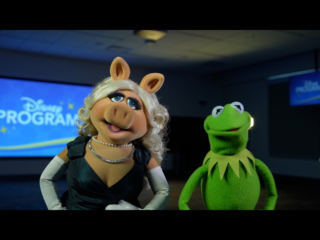 Muppets Q&A with Disney Programs!
