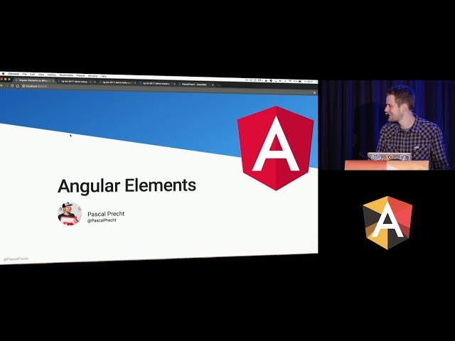 Pascal Precht - Angular Elements