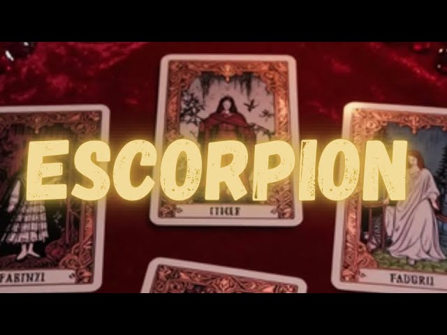 SCORPIO🥹 NEXT 48 HOURS — SOMEONE IS RETURNING TO YOU, VERY DETERMINED