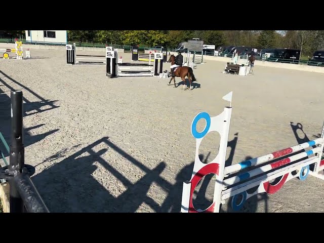 Orchis Van De Groenheuvel - parcours 90 cm winnaar