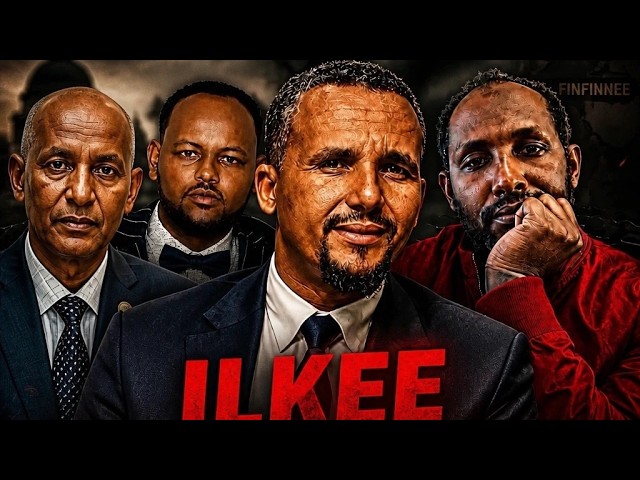 Komiiwwan ka’an, Qorannoo Ajjeechaa  fi Marii Biyyoolessaa