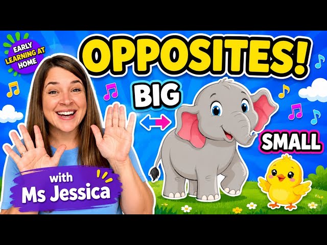 Toddler Learning with Ms Jessica : Opposites Words  | Fun Toddler Learning | Preschool Learning