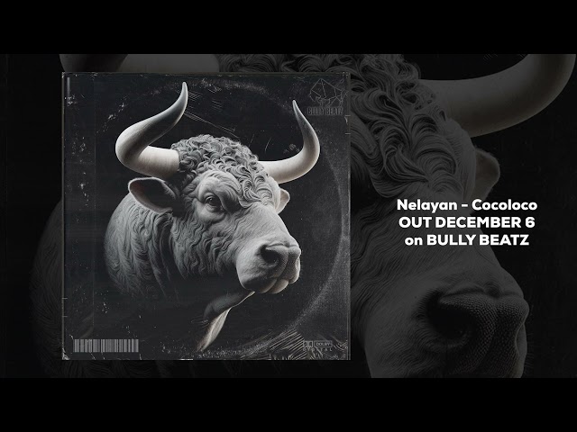Nelayan - Cocoloco (Original Mix)