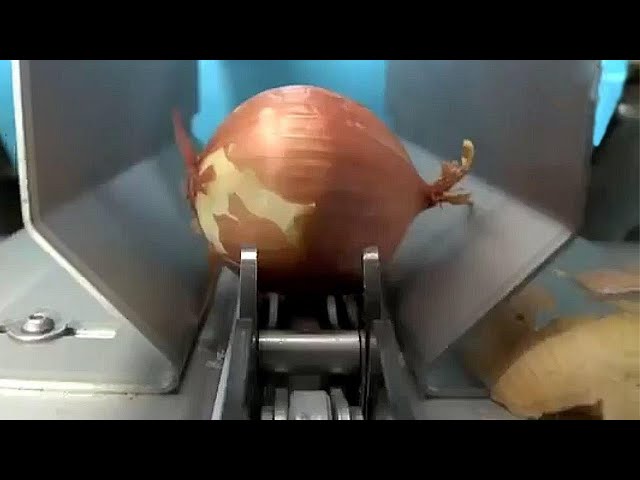 Food Industry Machines That Are At Another Level | Quantum Tech HD