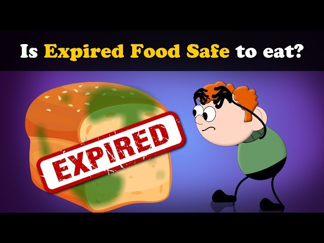 Is Expired Food Safe to eat? + more videos | #aumsum #kids #science #education #children