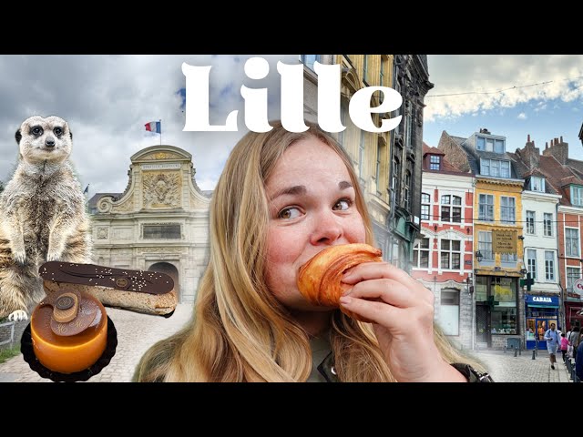 A trip to Lille 🥐🇫🇷 France travel vlog