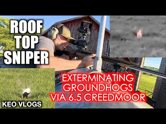 Thermal Scope Groundhog Hunting From A Rooftop | 6.5 Creedmoor For The WIN!