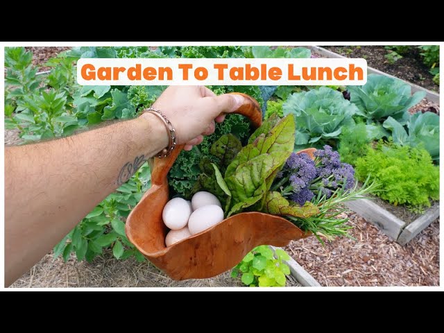 Harvest Lunch With Me | Garden to Table