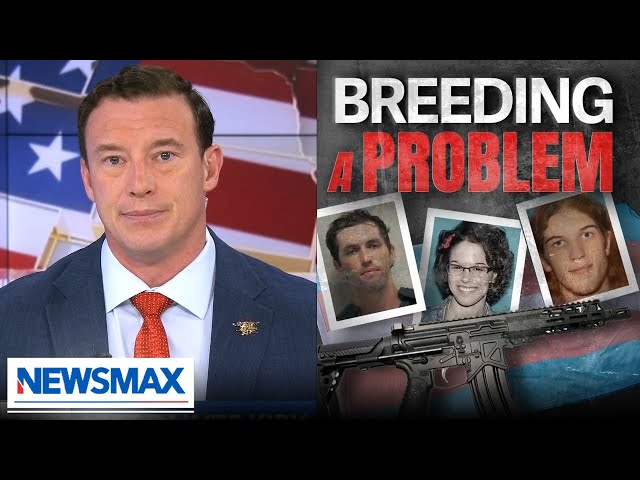 Carl Higbie: Kirk's assassination isn't a transgender love story