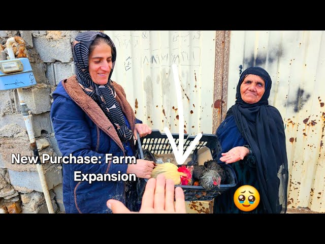 The Insane Decision That Changed My Boring Farm Forever