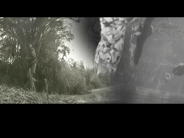 la doble esencia de Caarmela