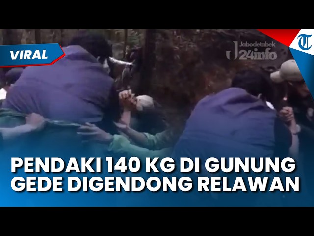 VIRAL: 140kg Hiker Carried Down by Volunteers on Mount Gede Pangrango After Getting Leg Cramps Du...