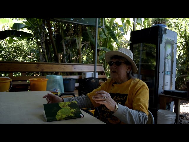Mathematician's perspective on Monasticism at Metta Forest Monastery