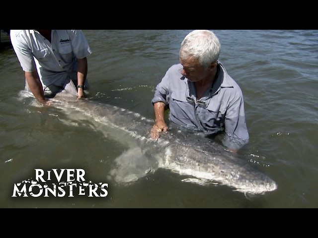 Jeremy Wade's BIGGEST Catches! | River Monsters
