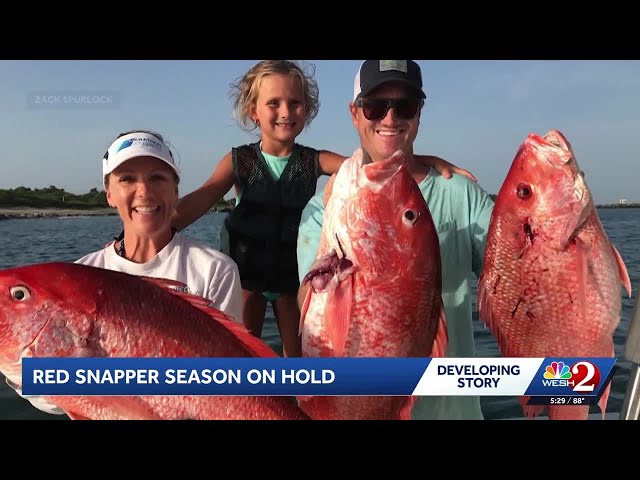 Florida families, businesses disappointed by judge's blocking of Atlantic red snapper fishing season