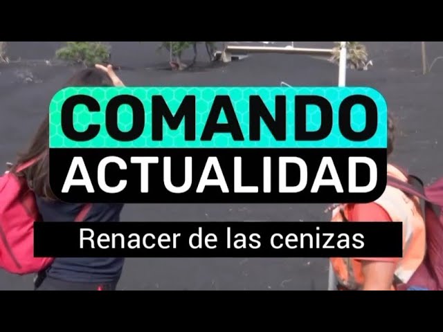 Comando Actualidad : Renacer De Las Cenizas