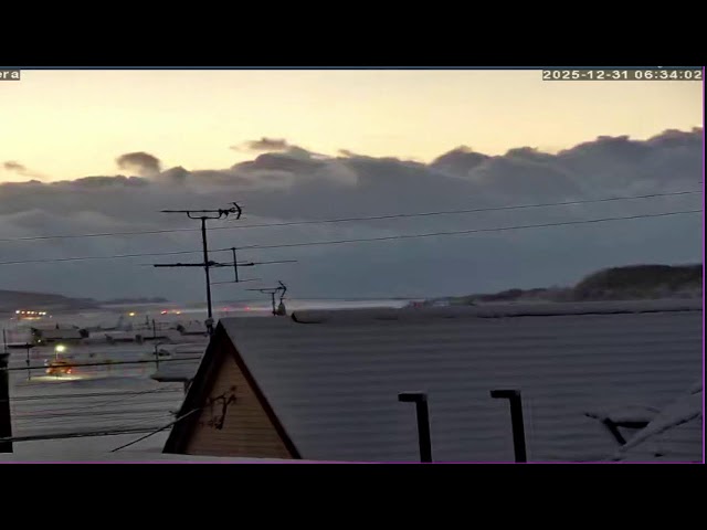 山と飛行機を見ながら雑談の場　北海道野鳥LIVE　～‘Hokkaido bird watching LIVE Cam2～