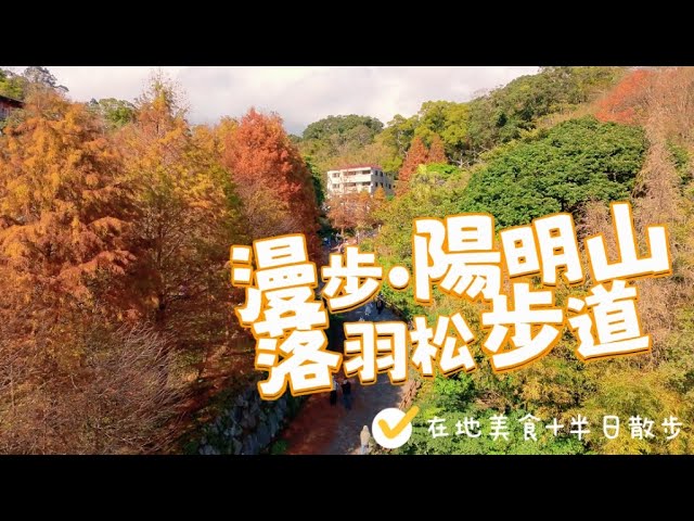 Yangmingshan Half-Day Tour Guide | Reopened After Two-Year Closure! Bald Cypress Trail Returns + ...