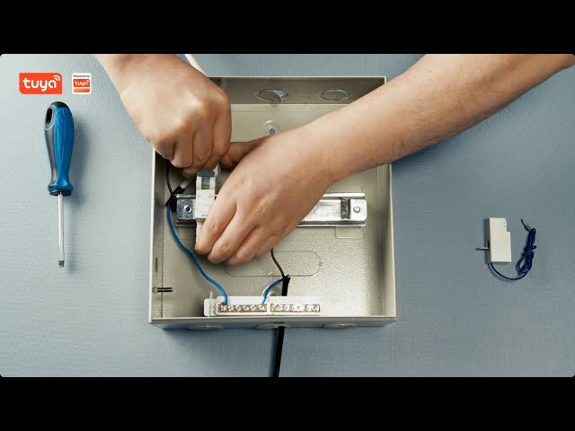 Tuya Smart Power Monitor: Easily Monitor the Whole-house Power Consumption