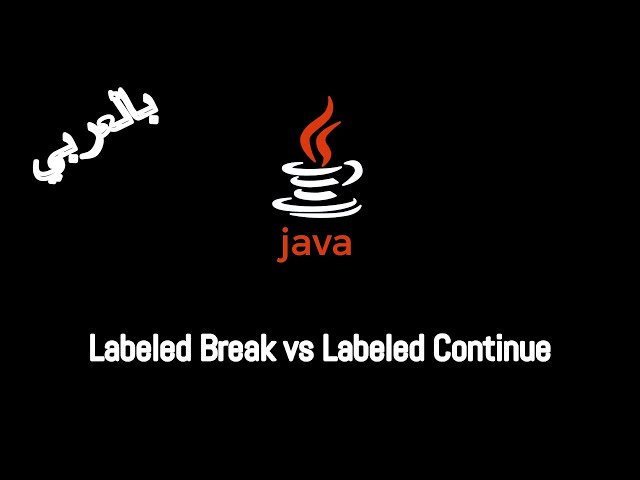 #017 [JAVA] - Branching Statements (Labeled Break / Labeled Continue)