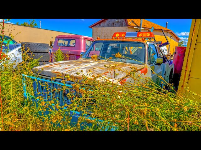 They ABANDONED this old tow truck. Will it start for the first time in years??