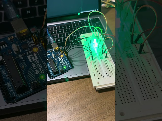 First arduino project (binary counter)