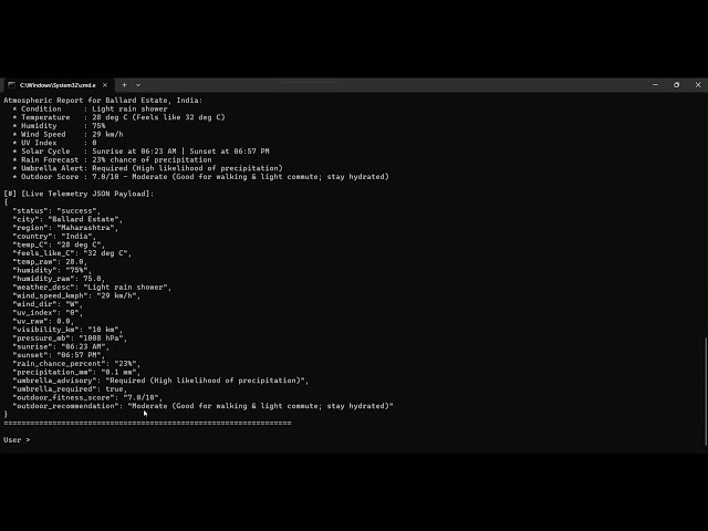 Versha Weather AI Agent Demo