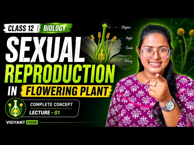 Sexual Reproduction in Flowering Plants🌻 | Class 12 Biology | Lecture 01 | CHSE Odisha