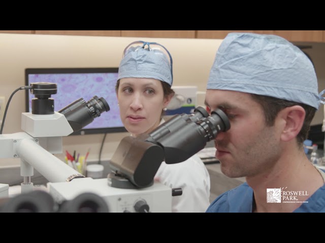 Slow Mohs Surgery | Roswell Park Patient Education