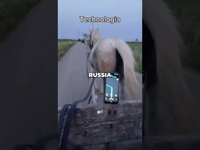 Ranking My Favorite Russian Moments