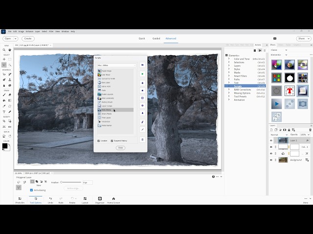 Introduction to Elements+