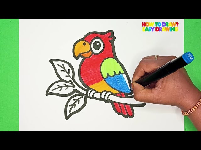 How to Draw a Colorful Parrot | Easy Step by Step Drawing Tutorial for Beginners