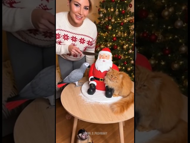 You Won't Believe What Happens to Santa!