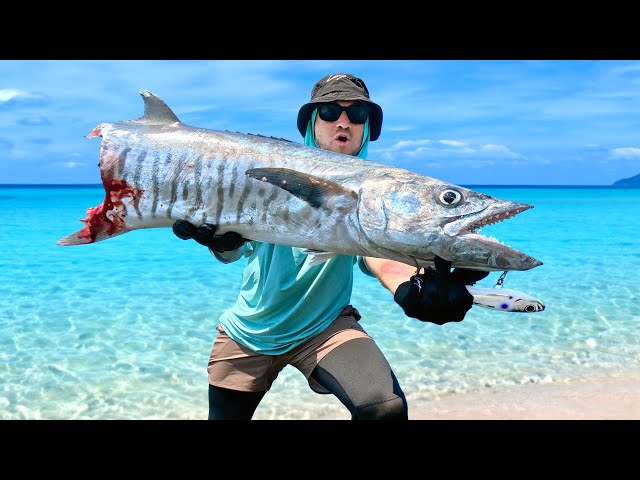 Survival Catch and Cook on Monster Fish Island – Sharing Fish with Sharks!