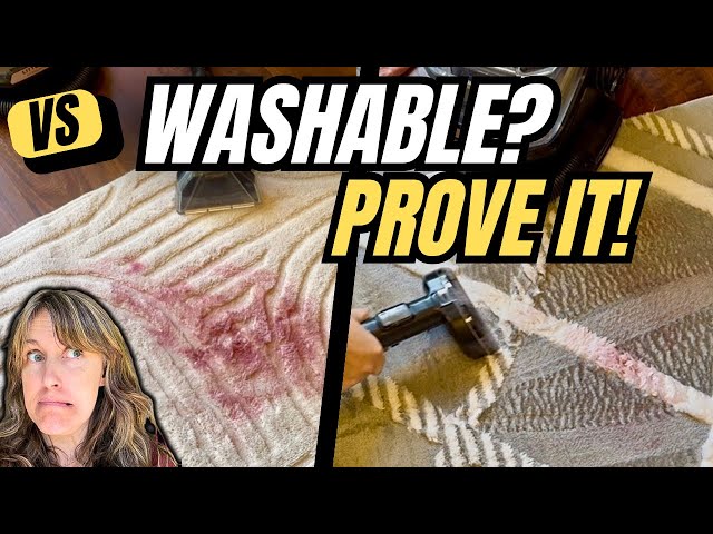 I Tested Plush Washable Rugs — Here’s the Problem